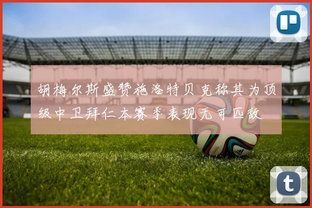 胡梅尔斯盛赞施洛特贝克称其为顶级中卫拜仁本赛季表现无可匹敌